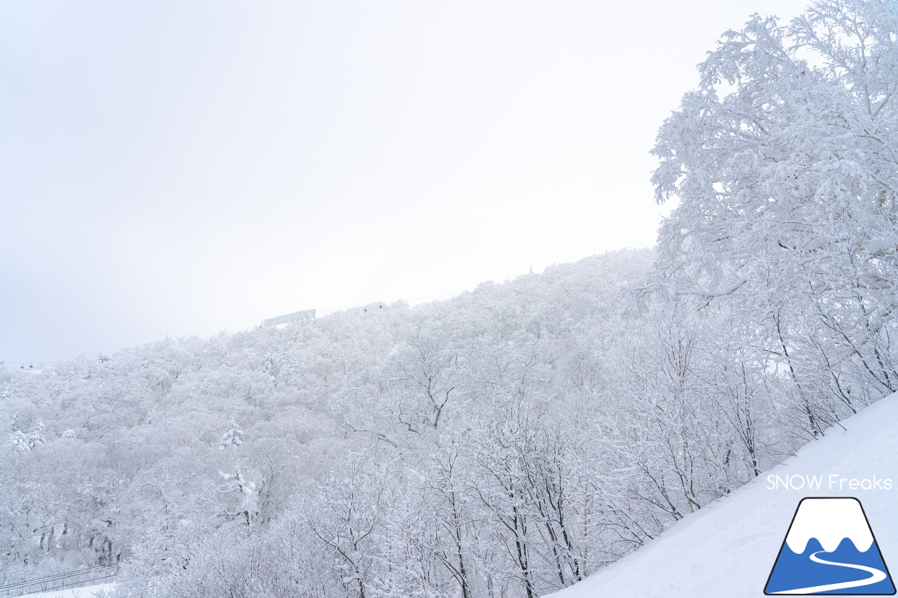 最高に気持ちの良いキロロの雪を滑る！北海道発 スキー・アウトドア専門店『パドルクラブ』のスタッフたちの休日。【ゲレンデパウダー編】in キロロリゾート